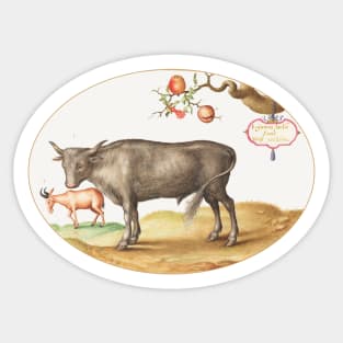 A Bull and a Horned Animal (1575–1580) Sticker
